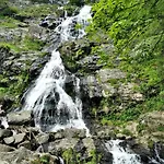 16 - Ferienresidenz Roseneck, Galeriewohnung, Mit Schwimmbad In Bei Feldberg Todtnauberg