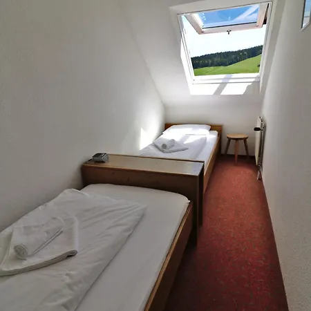 16 - Ferienresidenz Roseneck, Galeriewohnung, Mit Schwimmbad In Bei Feldberg