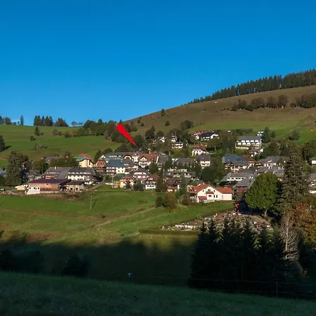 16 - Ferienresidenz Roseneck, Galeriewohnung, Mit Schwimmbad In Bei Feldberg Todtnauberg