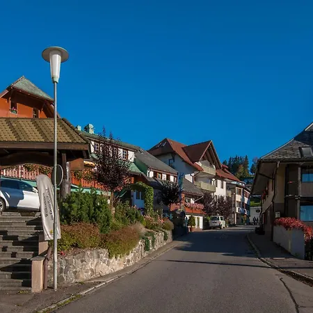 Apartment 16 - Ferienresidenz Roseneck, Galeriewohnung, Mit Schwimmbad In Bei Feldberg Todtnauberg