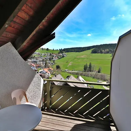 Apartment 16 - Ferienresidenz Roseneck, Galeriewohnung, Mit Schwimmbad In Bei Feldberg *