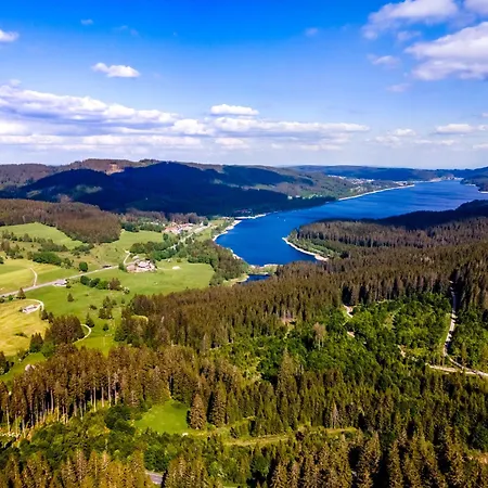 Apartment 16 - Ferienresidenz Roseneck, Galeriewohnung, Mit Schwimmbad In Bei Feldberg