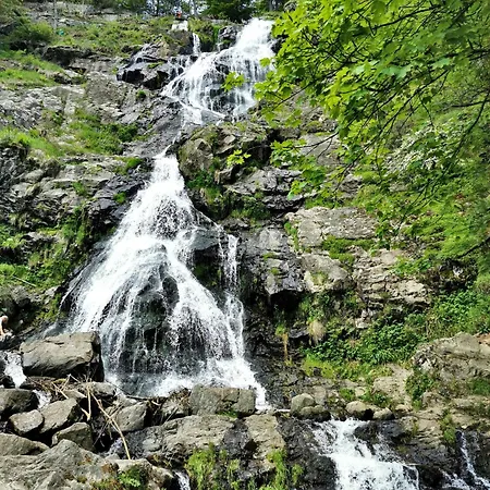16 - Ferienresidenz Roseneck, Galeriewohnung, Mit Schwimmbad In Bei Feldberg Todtnauberg