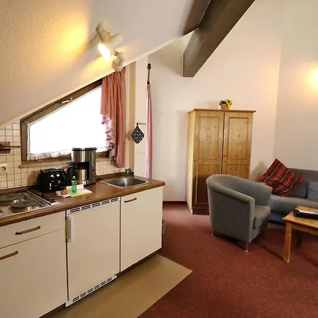 16 - Ferienresidenz Roseneck, Galeriewohnung, Mit Schwimmbad In Bei Feldberg Todtnauberg
