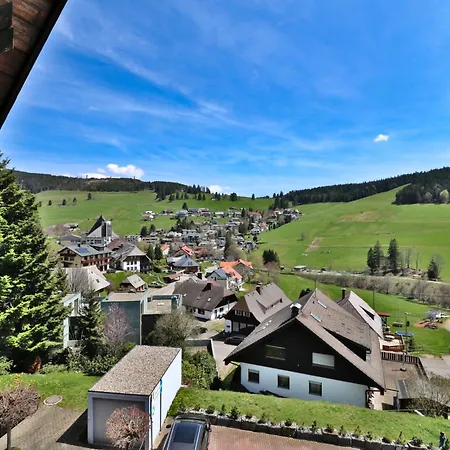 16 - Ferienresidenz Roseneck, Galeriewohnung, Mit Schwimmbad In Bei Feldberg