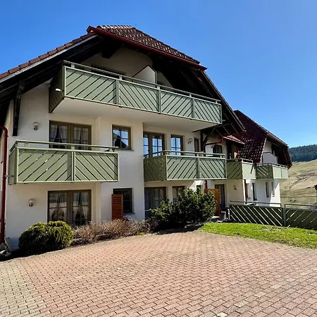 Apartment 16 - Ferienresidenz Roseneck, Galeriewohnung, Mit Schwimmbad In Bei Feldberg